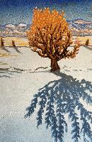 An Angie Coleman Woodcut